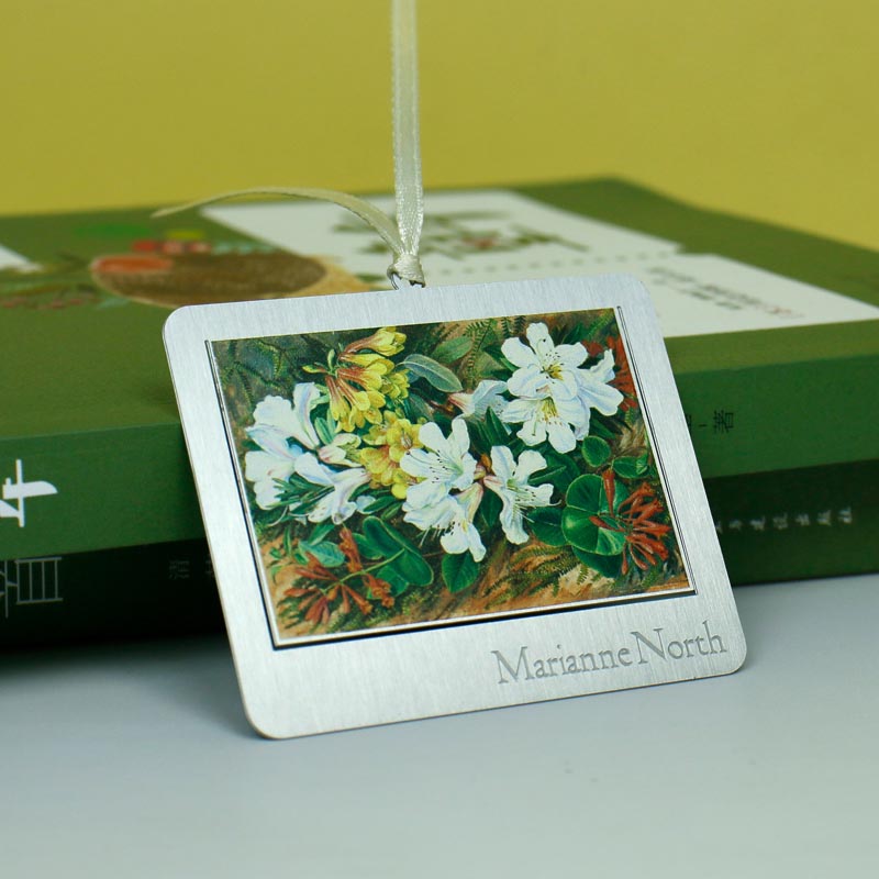Stainless Steel Bookmarka58